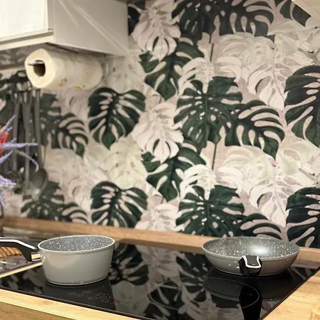 Al Corso Apartment Bitonto